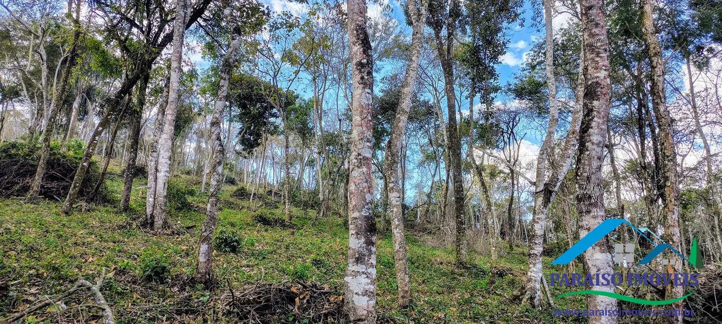 Foto 21 de Chácara à venda, 90000m2 em Centro, Consolacao - MG