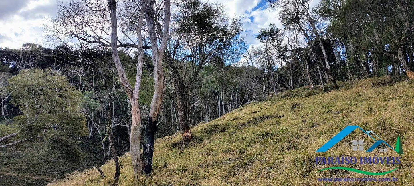Foto 18 de Chácara à venda, 90000m2 em Centro, Consolacao - MG