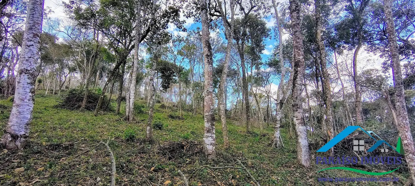 Foto 22 de Chácara à venda, 90000m2 em Centro, Consolacao - MG