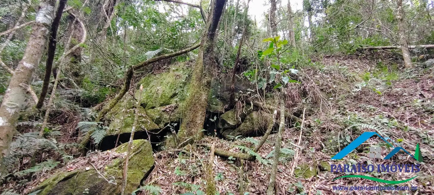 Foto 30 de Chácara à venda, 90000m2 em Centro, Consolacao - MG