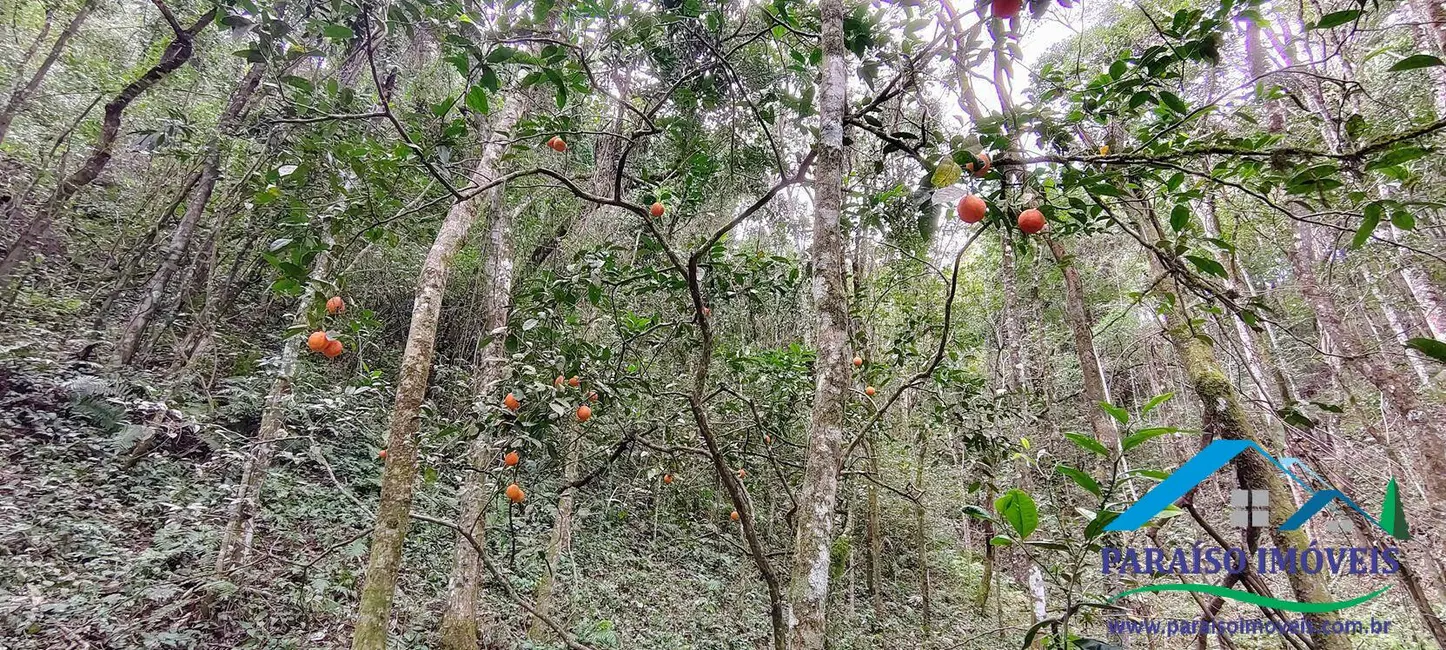Foto 28 de Chácara à venda, 90000m2 em Centro, Consolacao - MG