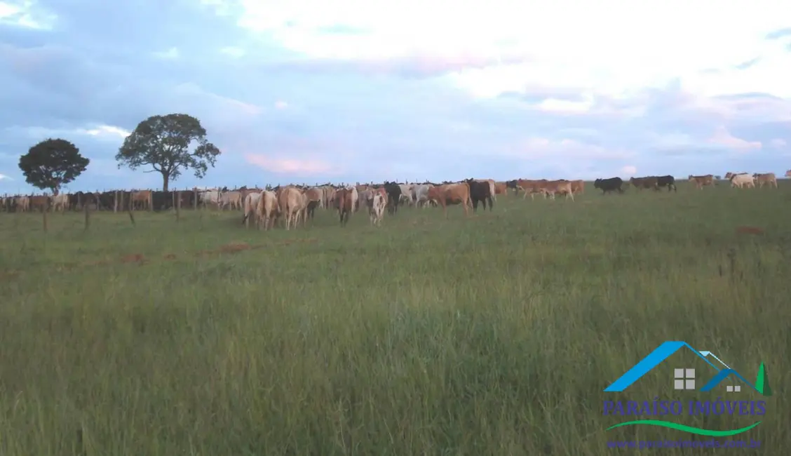Foto 55 de Chácara à venda, 1238m2 em Centro, Guape - MG