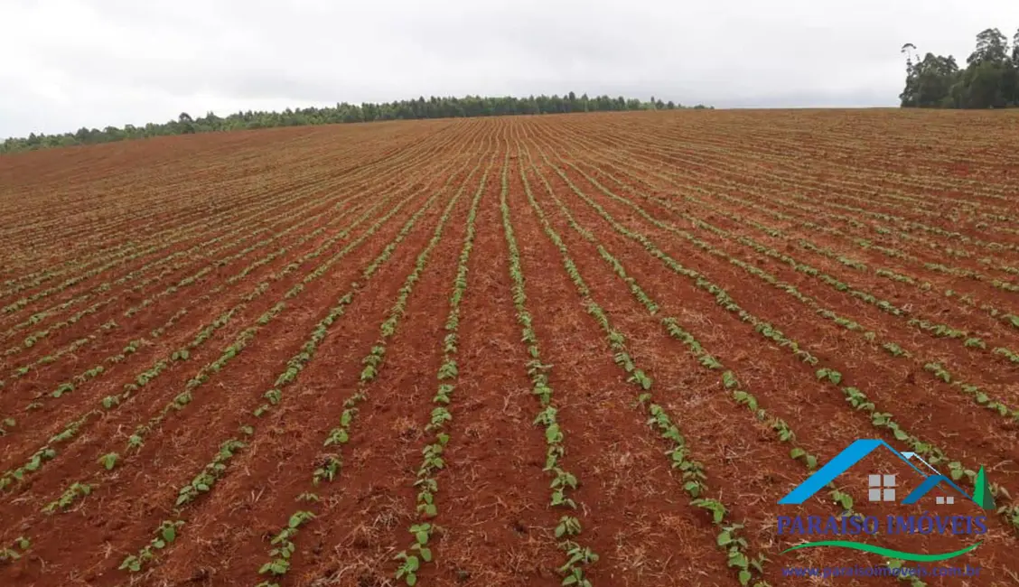 Foto 30 de Chácara à venda, 1238m2 em Centro, Guape - MG