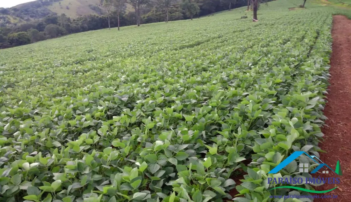 Foto 40 de Chácara à venda, 1238m2 em Centro, Guape - MG