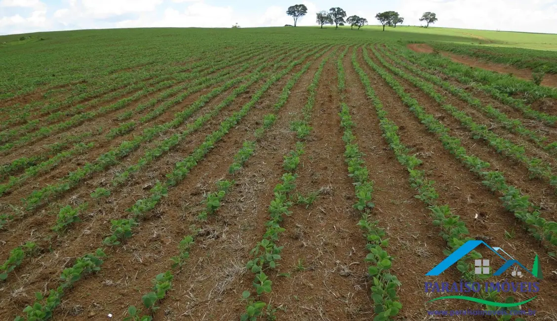 Foto 33 de Chácara à venda, 1238m2 em Centro, Guape - MG