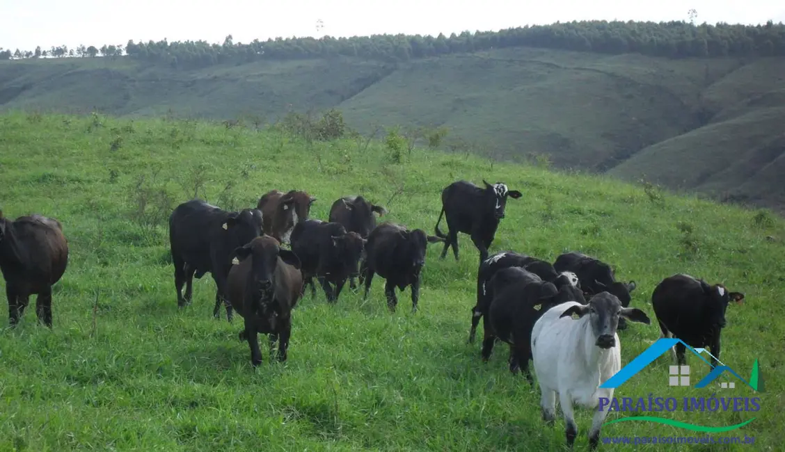 Foto 52 de Chácara à venda, 1238m2 em Centro, Guape - MG