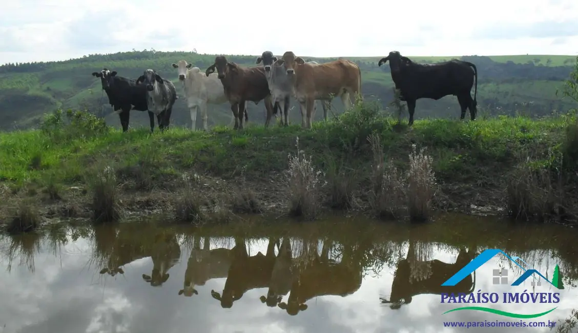 Foto 51 de Chácara à venda, 1238m2 em Centro, Guape - MG