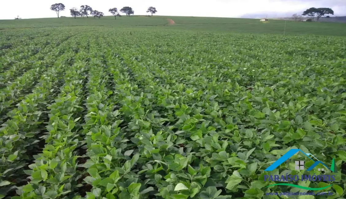 Foto 23 de Chácara à venda, 1238m2 em Centro, Guape - MG