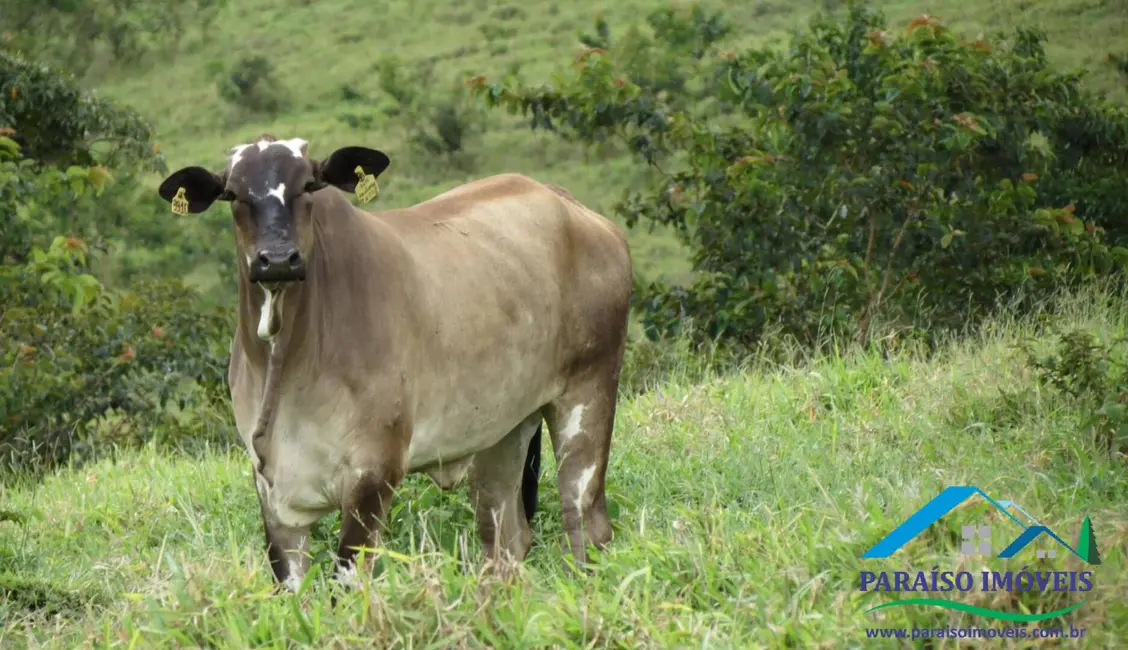Foto 48 de Chácara à venda, 1238m2 em Centro, Guape - MG