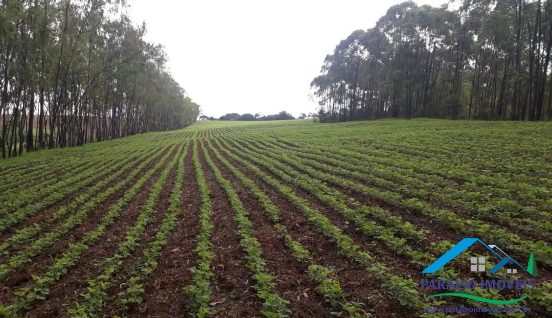 Foto 32 de Chácara à venda, 1238m2 em Centro, Guape - MG