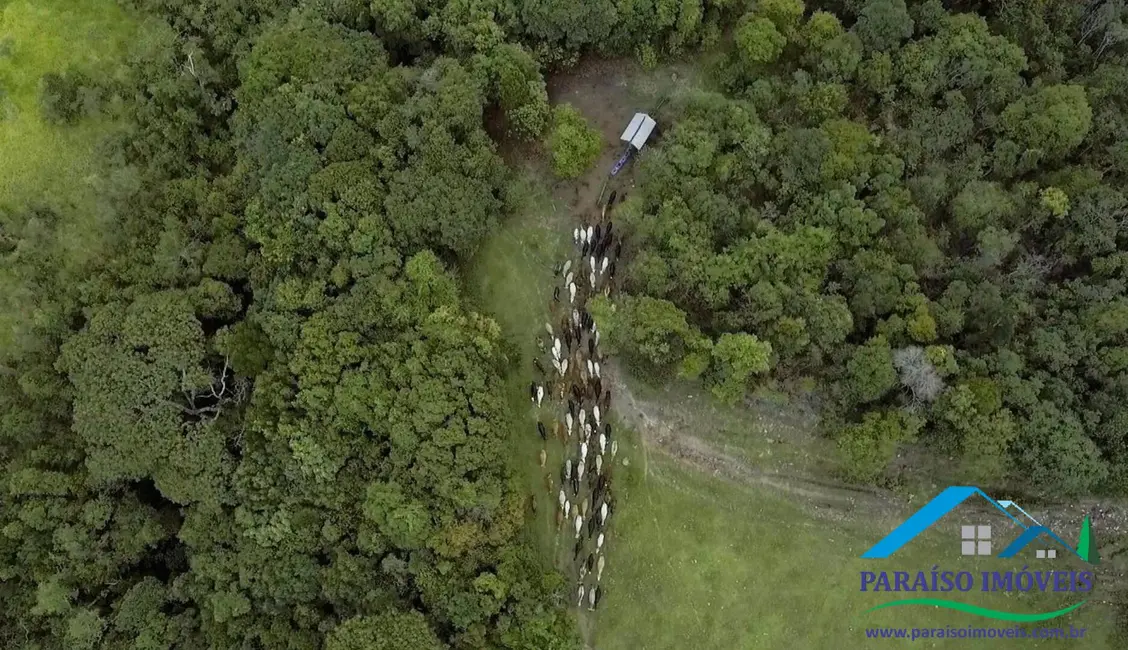 Foto 72 de Chácara à venda, 1238m2 em Centro, Guape - MG