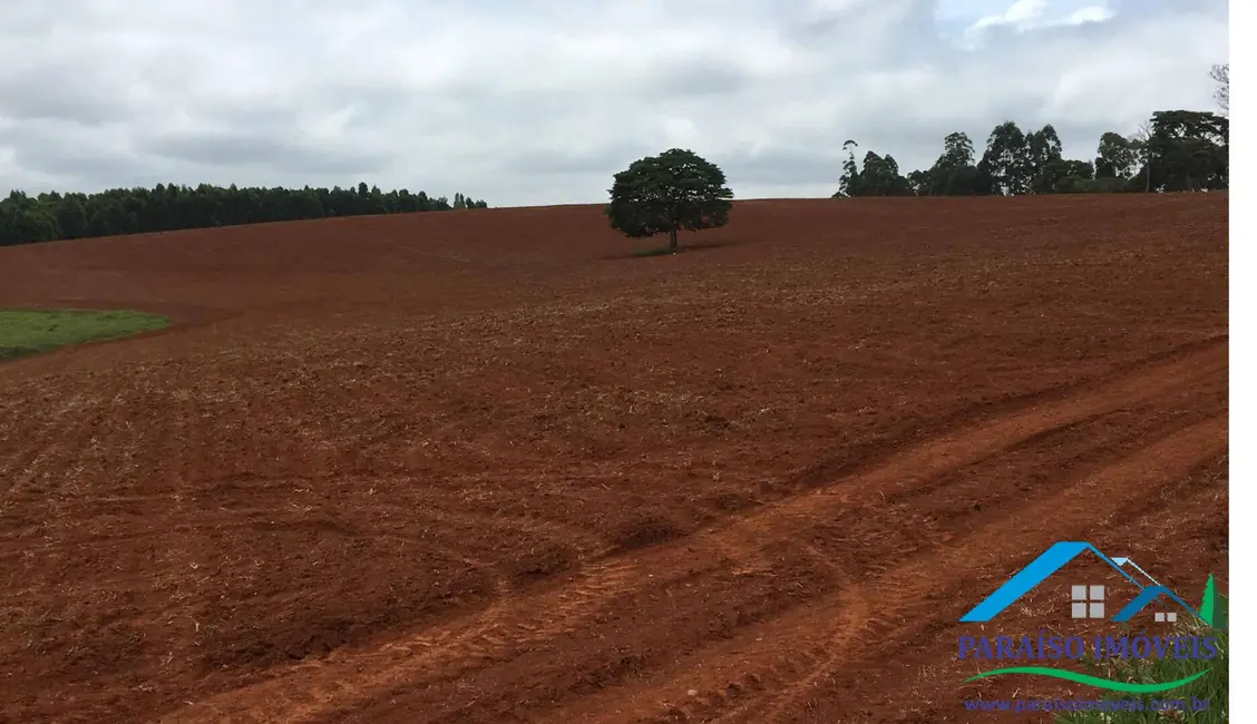 Foto 25 de Chácara à venda, 1238m2 em Centro, Guape - MG