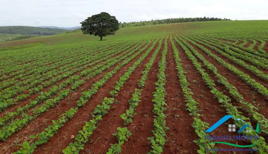 Chácara à venda, 1238m2 em Centro, Guape - MG - imagem 5 Foto 5 de Chácara à venda, 1238m2 em Centro, Guape - MG
