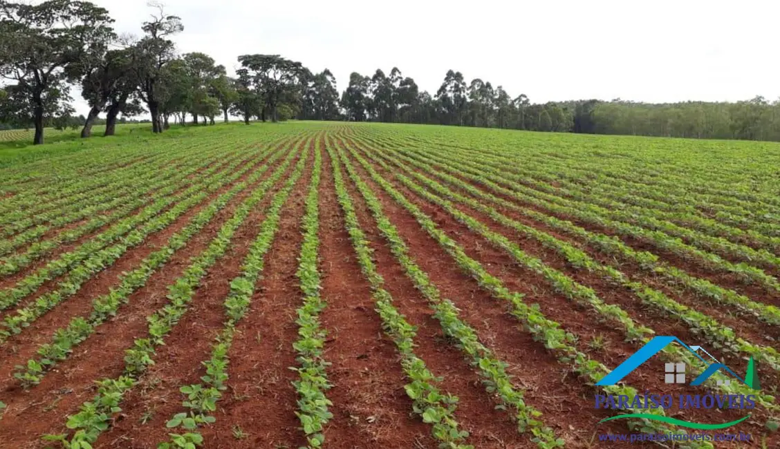 Foto 31 de Chácara à venda, 1238m2 em Centro, Guape - MG