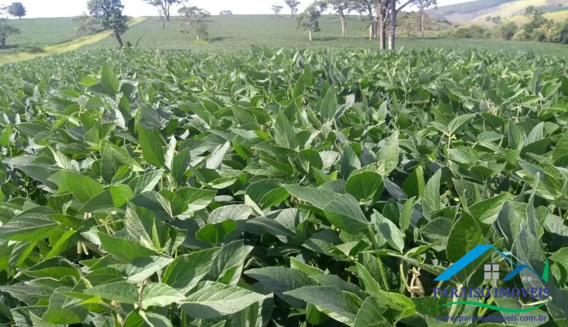 Foto 24 de Chácara à venda, 1238m2 em Centro, Guape - MG
