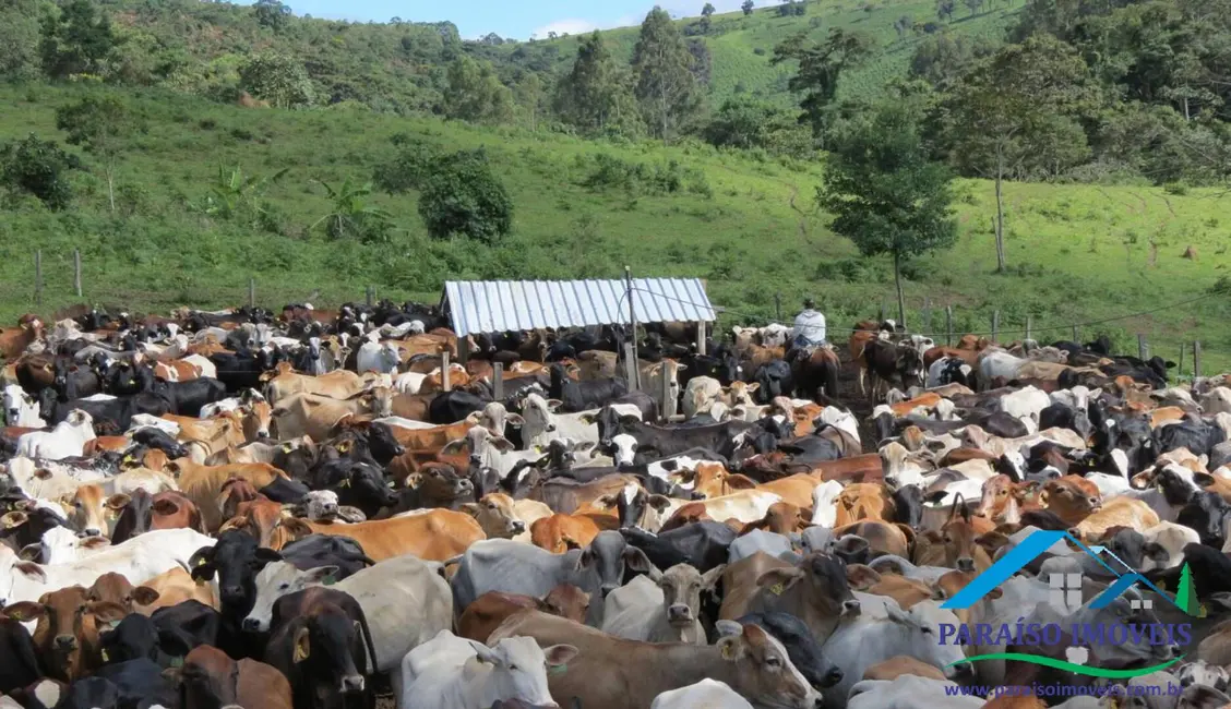 Foto 54 de Chácara à venda, 1238m2 em Centro, Guape - MG