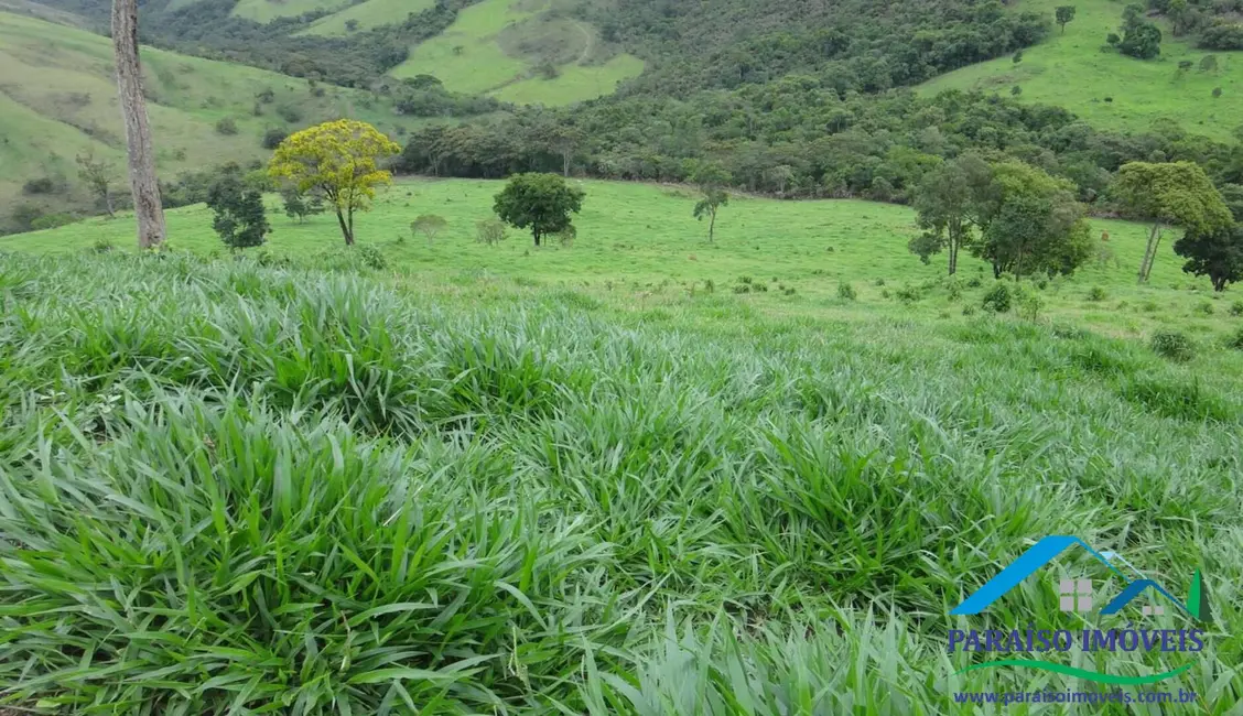 Foto 58 de Chácara à venda, 1238m2 em Centro, Guape - MG