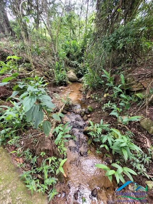 Foto 17 de Chácara à venda, 20000m2 em Centro, Paraisopolis - MG