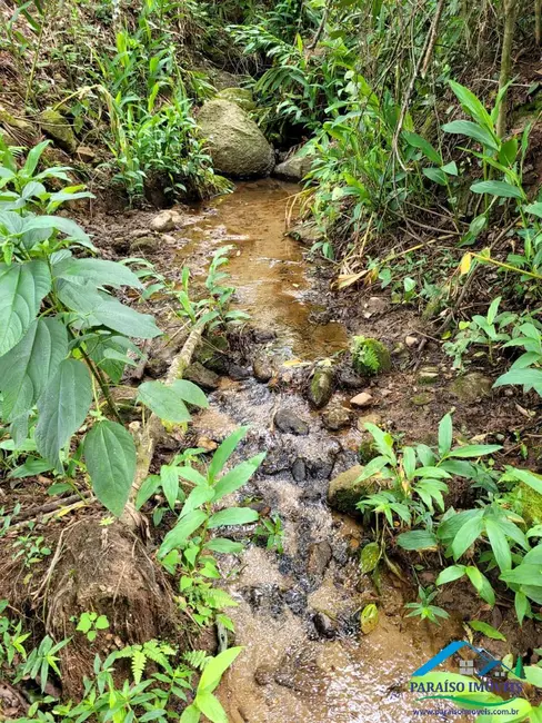 Foto 21 de Chácara à venda, 20000m2 em Centro, Paraisopolis - MG
