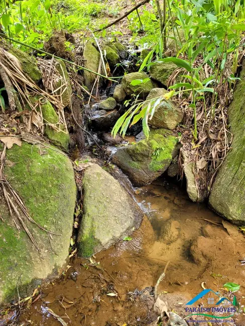 Foto 12 de Chácara à venda, 20000m2 em Centro, Paraisopolis - MG