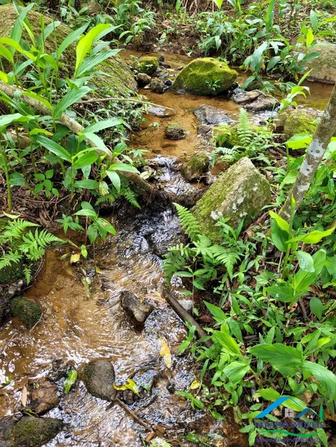 Chácara à venda, 20000m2 em Centro, Paraisopolis - MG - imagem 4 Foto 4 de Chácara à venda, 20000m2 em Centro, Paraisopolis - MG