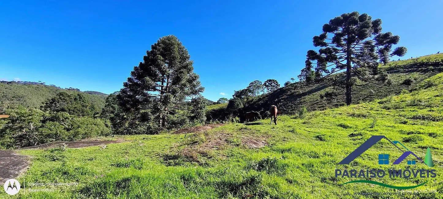Foto 41 de Chácara à venda, 20000m2 em Centro, Goncalves - MG