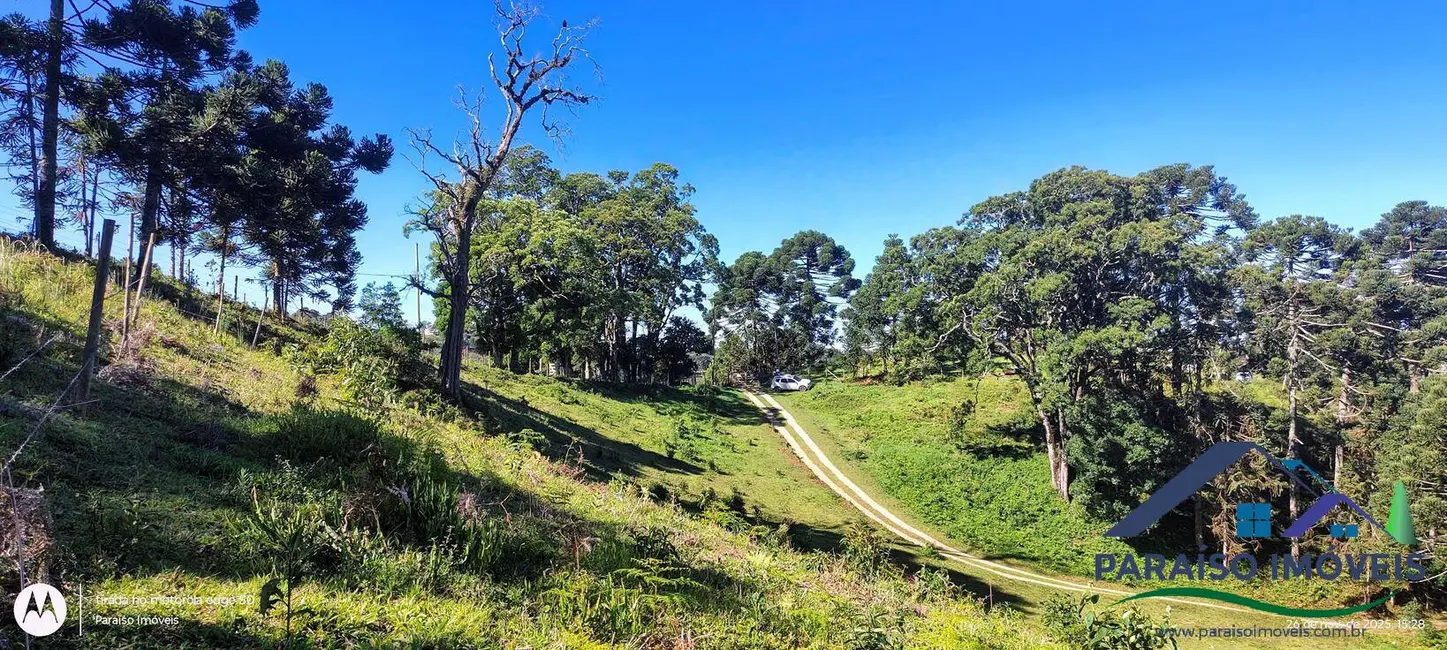 Foto 12 de Chácara à venda, 20000m2 em Centro, Goncalves - MG