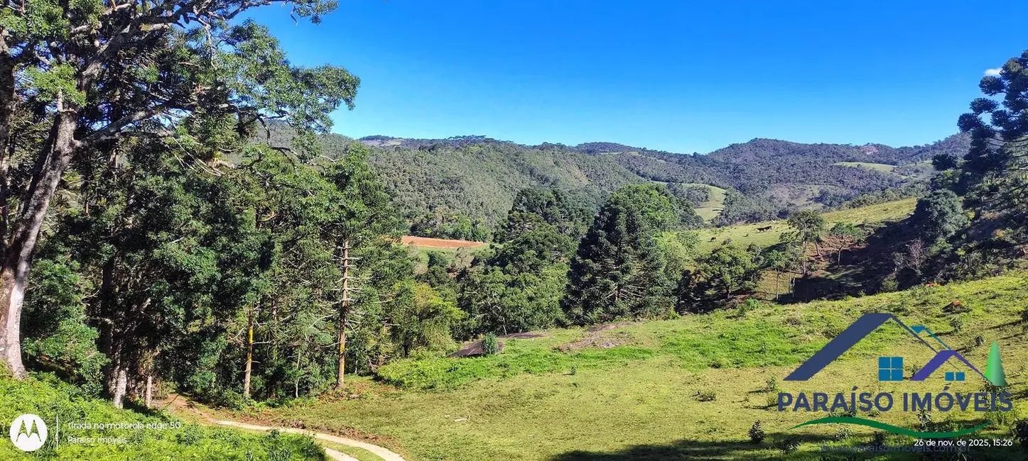 Foto 5 de Chácara à venda, 20000m2 em Centro, Goncalves - MG