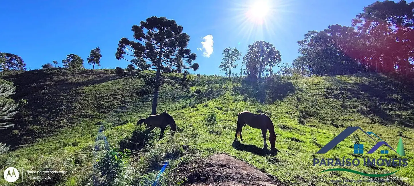 Foto 43 de Chácara à venda, 20000m2 em Centro, Goncalves - MG