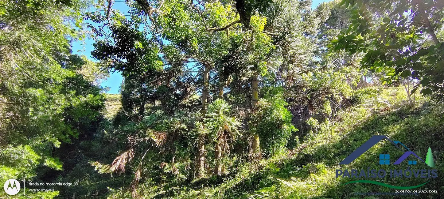 Foto 36 de Chácara à venda, 20000m2 em Centro, Goncalves - MG