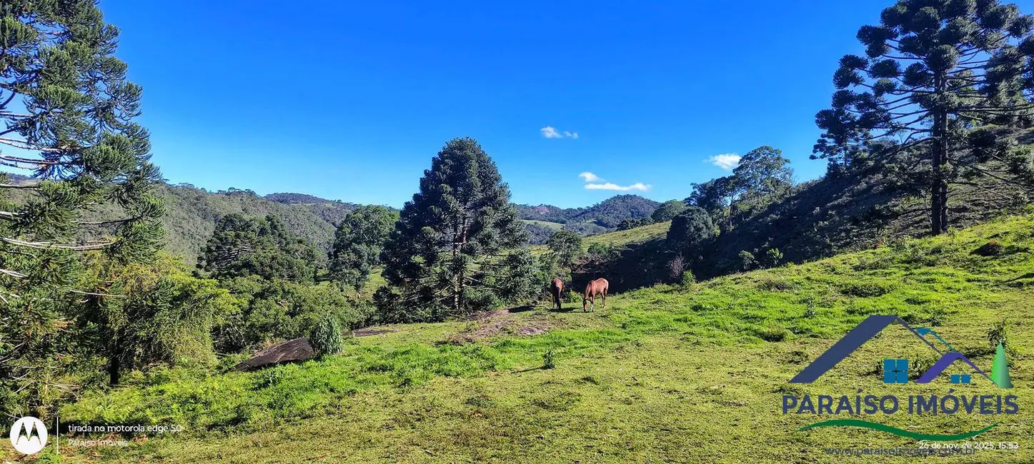 Foto 47 de Chácara à venda, 20000m2 em Centro, Goncalves - MG