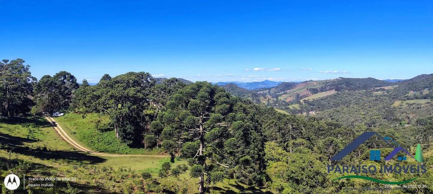 Foto 19 de Chácara à venda, 20000m2 em Centro, Goncalves - MG