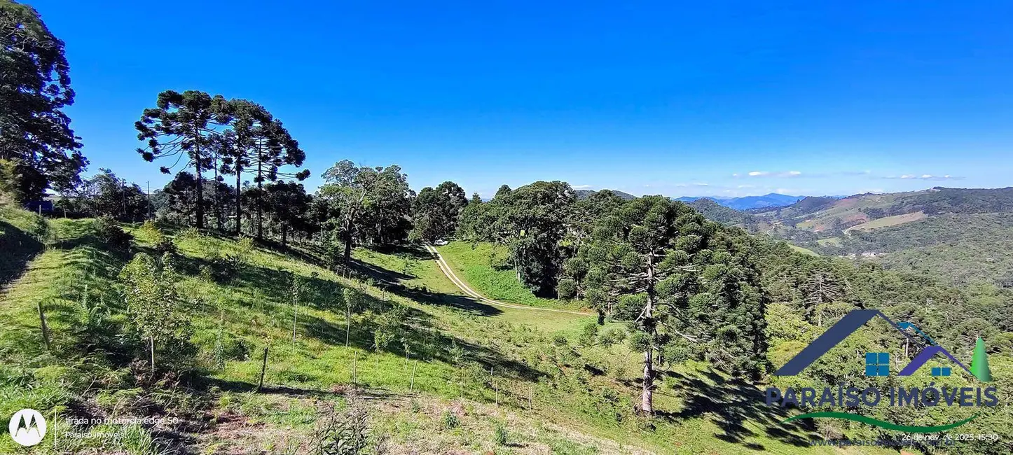 Foto 17 de Chácara à venda, 20000m2 em Centro, Goncalves - MG