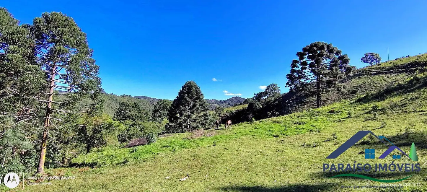 Foto 46 de Chácara à venda, 20000m2 em Centro, Goncalves - MG
