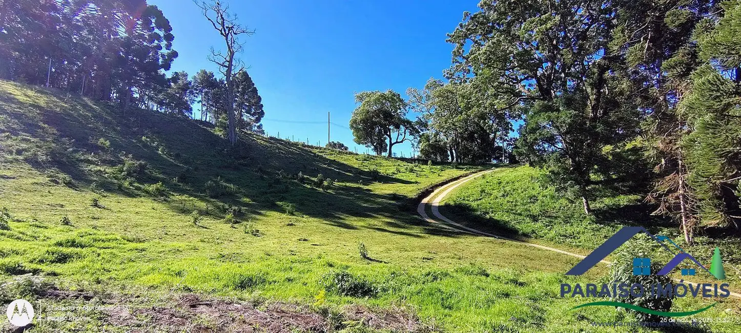 Foto 44 de Chácara à venda, 20000m2 em Centro, Goncalves - MG
