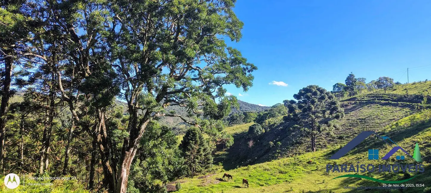 Foto 4 de Chácara à venda, 20000m2 em Centro, Goncalves - MG