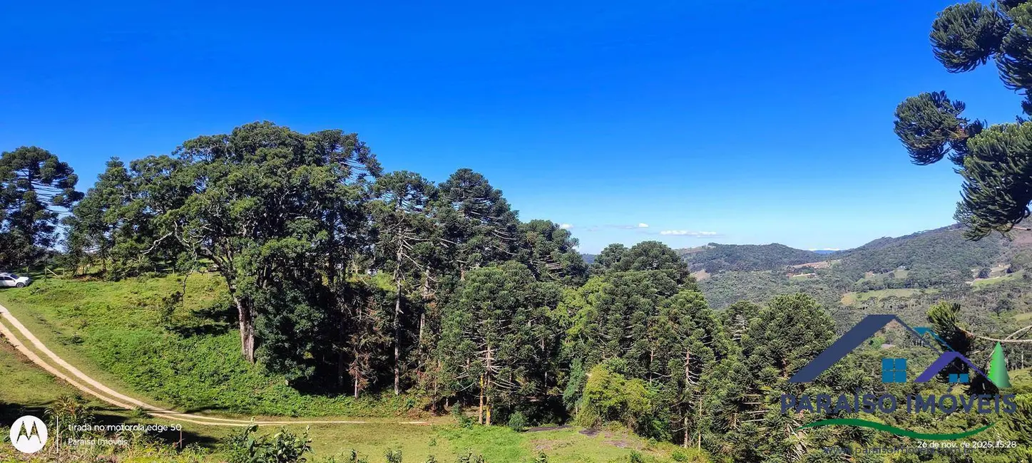 Foto 13 de Chácara à venda, 20000m2 em Centro, Goncalves - MG
