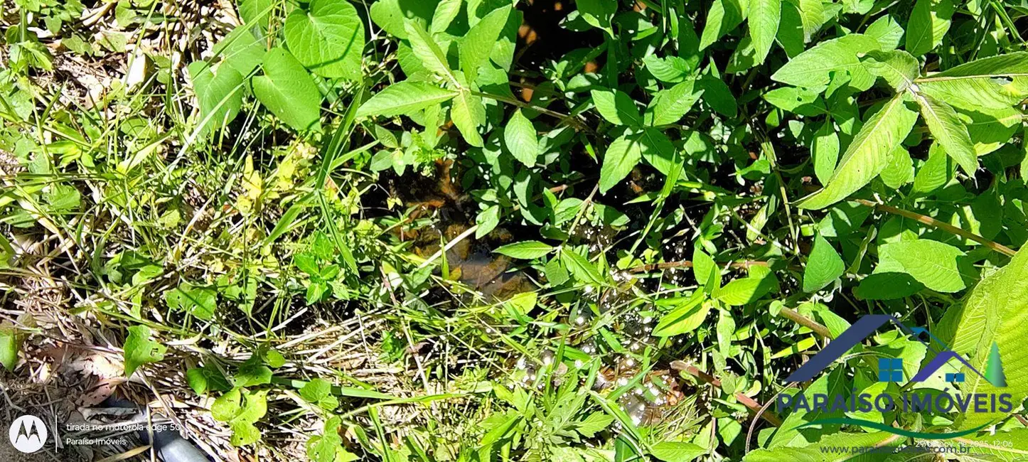 Foto 4 de Chácara à venda, 138000m2 em Centro, Paraisopolis - MG