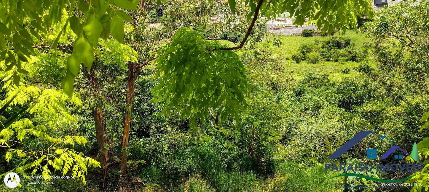 Foto 4 de Terreno / Lote à venda, 11150m2 em Centro, Paraisopolis - MG