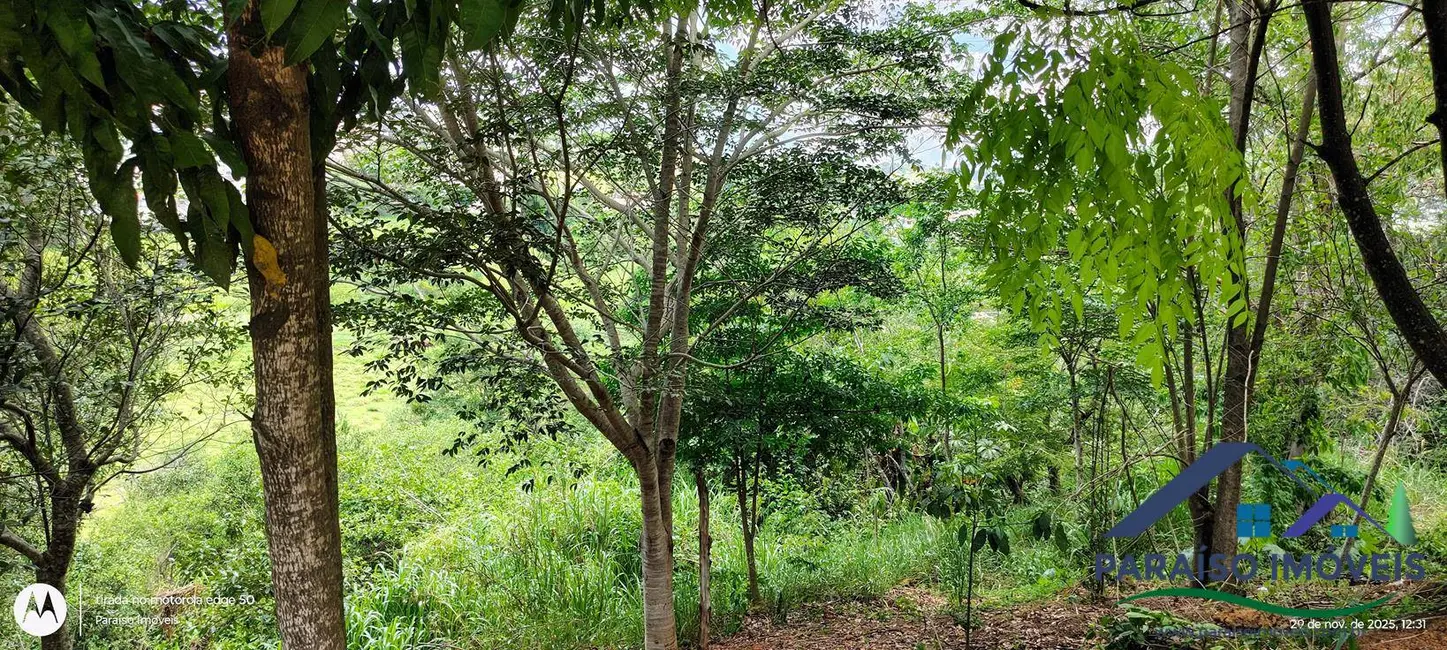 Foto 9 de Terreno / Lote à venda, 11150m2 em Centro, Paraisopolis - MG