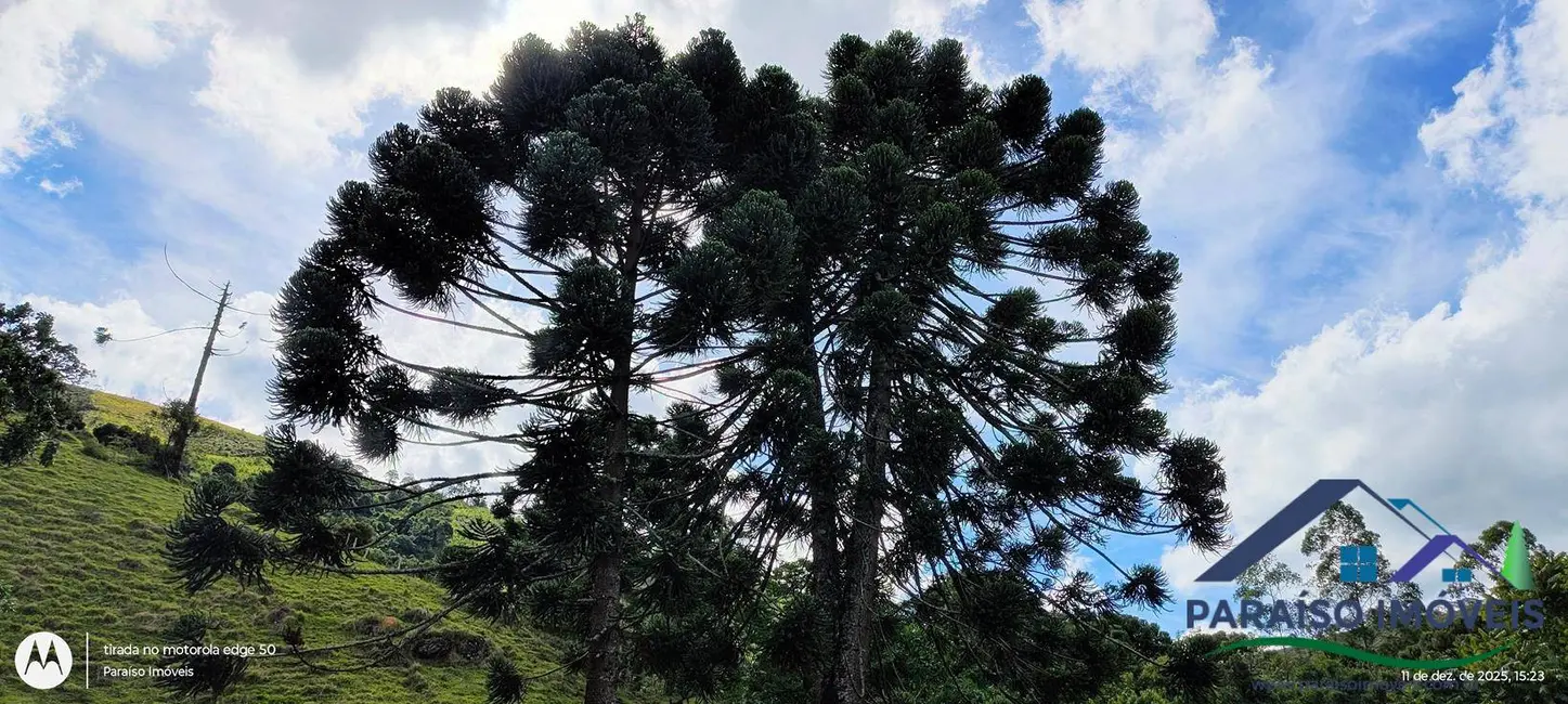 Foto 29 de Chácara à venda, 77580m2 em Centro, Paraisopolis - MG