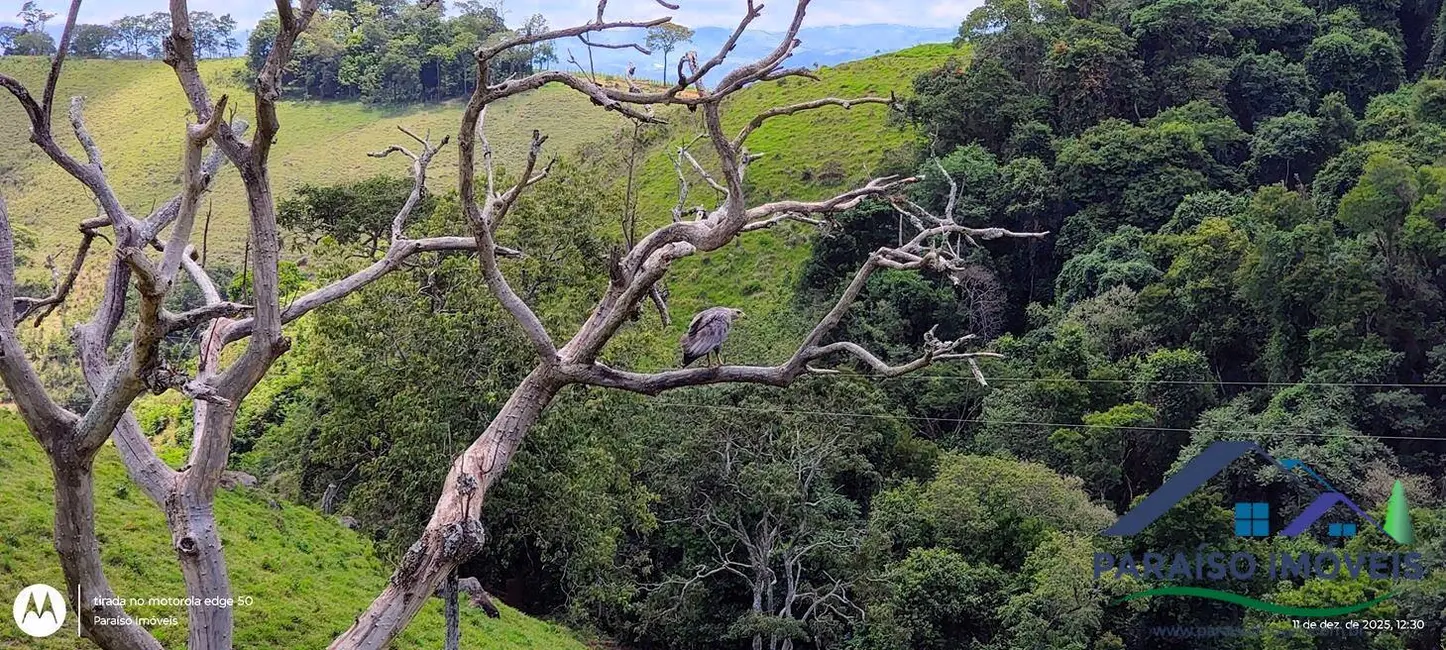 Foto 3 de Chácara à venda, 20300m2 em Centro, Consolacao - MG