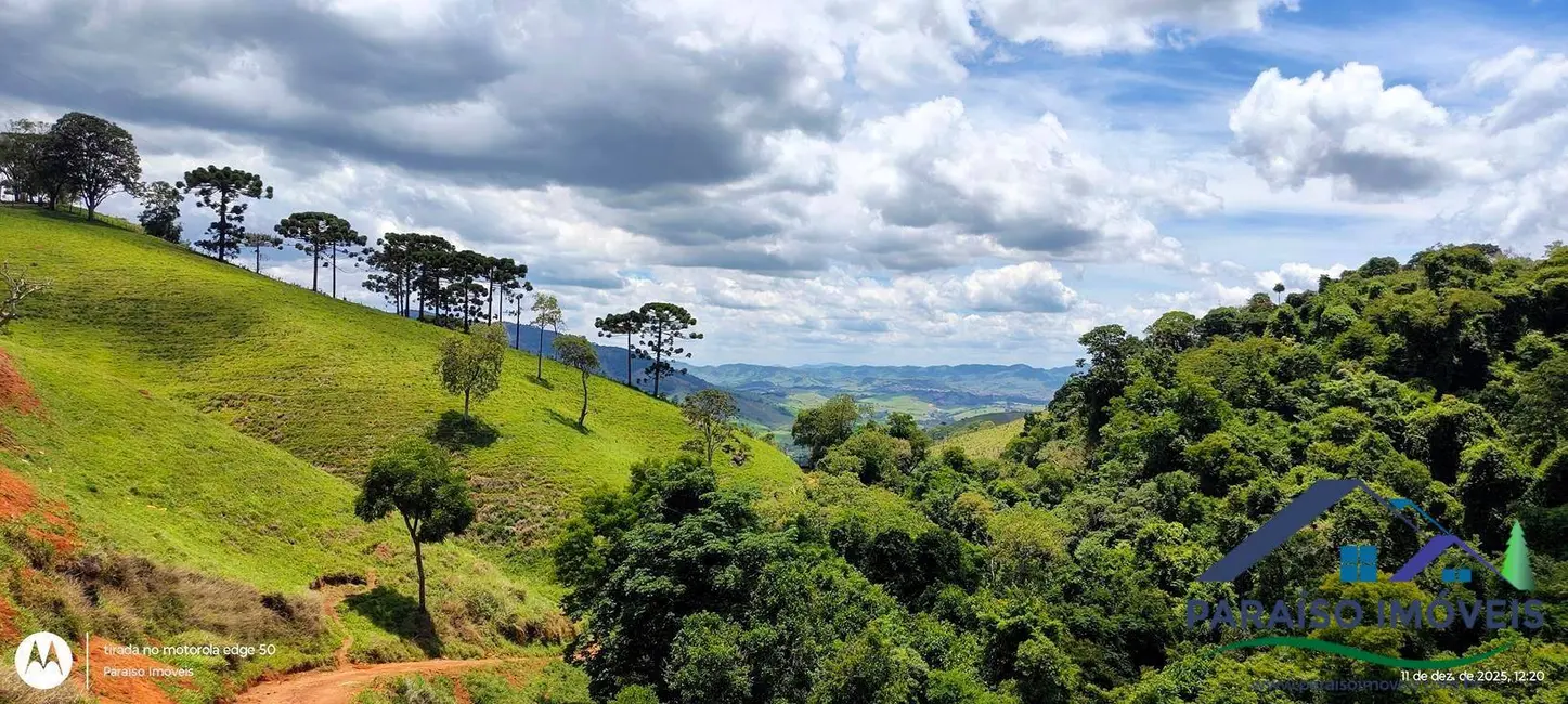 Foto 10 de Chácara à venda, 20300m2 em Centro, Consolacao - MG