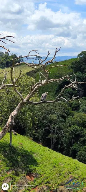 Foto 27 de Chácara à venda, 20636m2 em Centro, Consolacao - MG