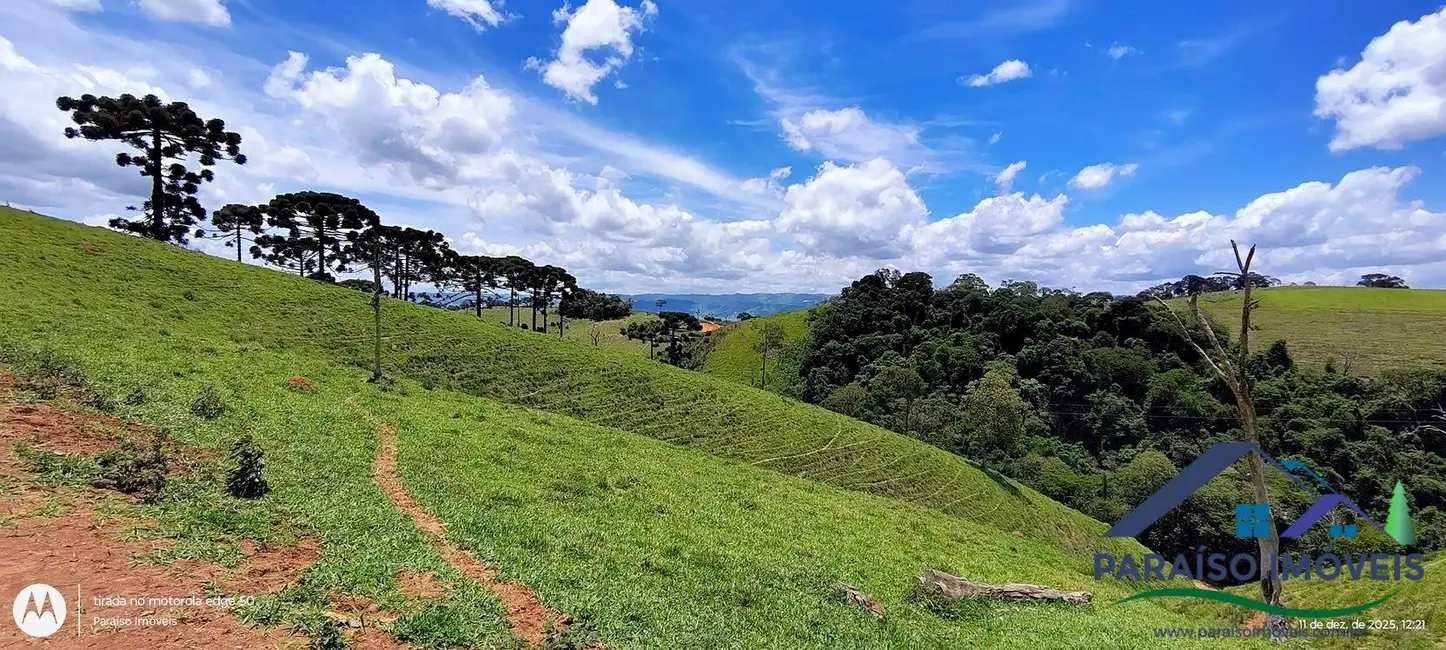 Foto 12 de Chácara à venda, 20000m2 em Centro, Consolacao - MG