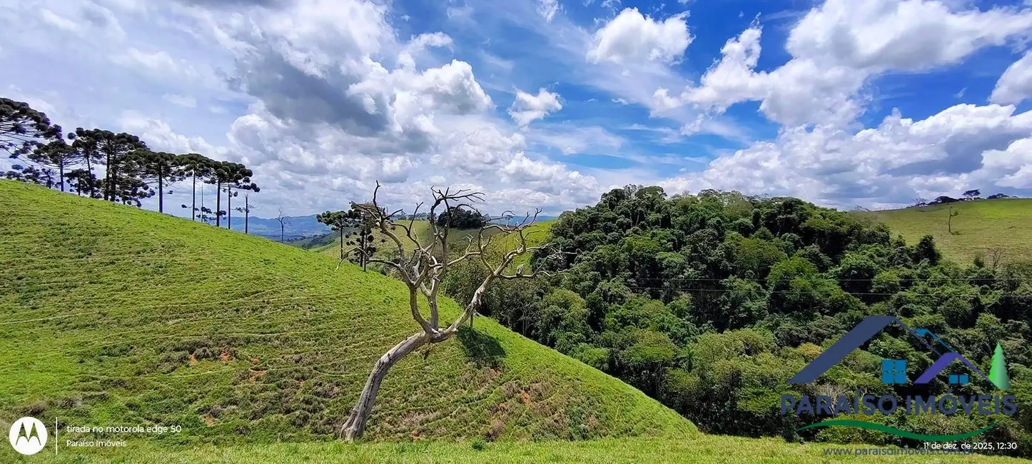 Foto 25 de Chácara à venda, 20000m2 em Centro, Consolacao - MG