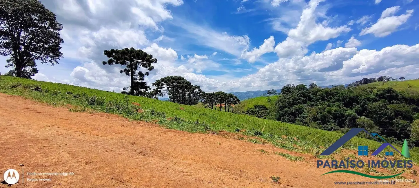Foto 23 de Chácara à venda, 20000m2 em Centro, Consolacao - MG