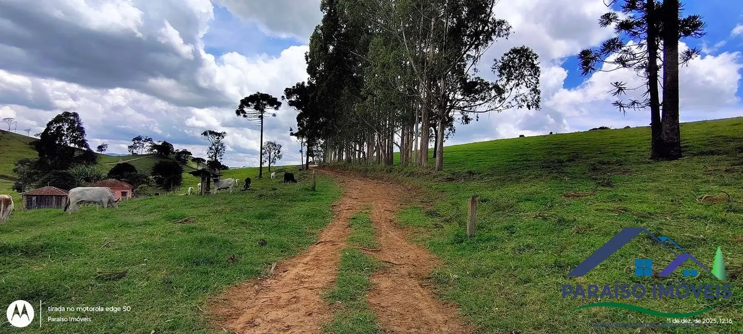 Foto 6 de Chácara à venda, 20000m2 em Centro, Consolacao - MG