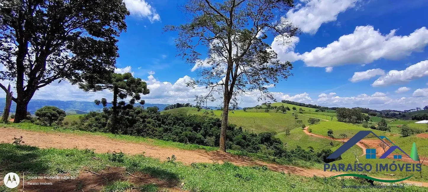 Foto 16 de Chácara à venda, 20000m2 em Centro, Consolacao - MG