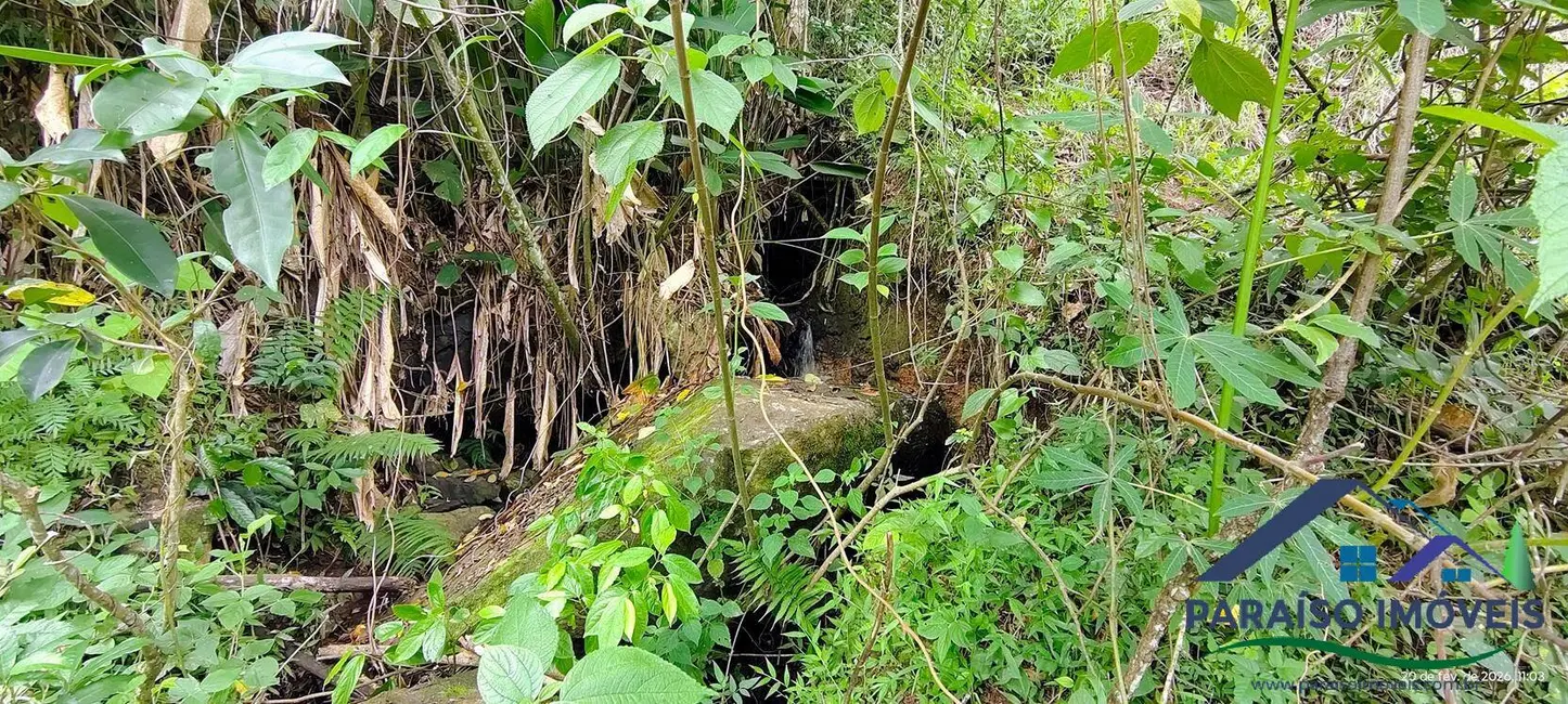 Foto 29 de Chácara à venda, 20000m2 em Centro, Paraisopolis - MG